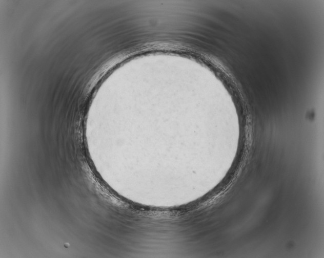 X0000114991025200912071112