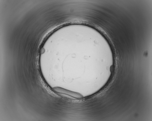 X0000114991029200912071112