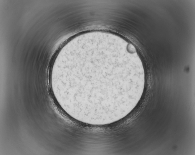 X0000114991030200912071112