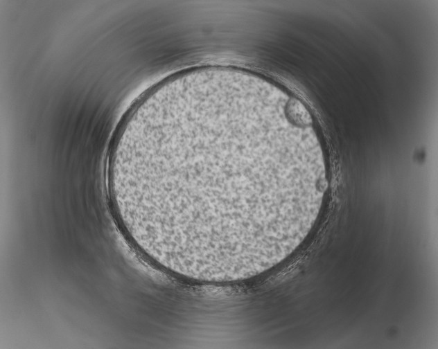 X0000114991032200912071112