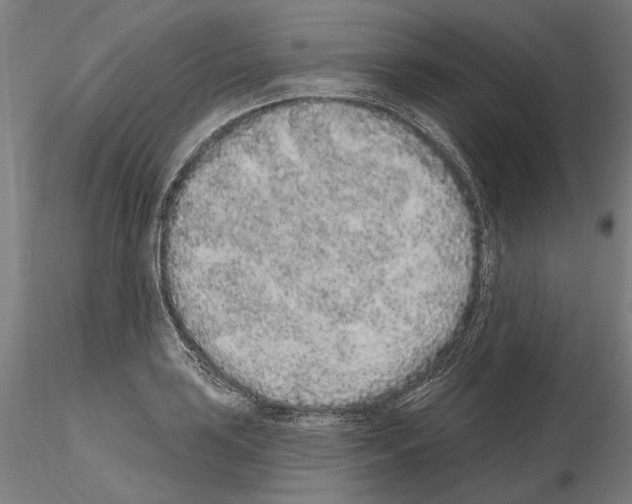 X0000114991035200912071112