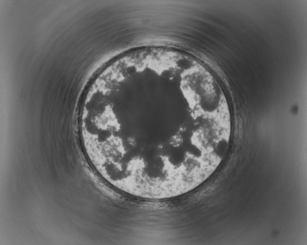 X0000114991037200912071112