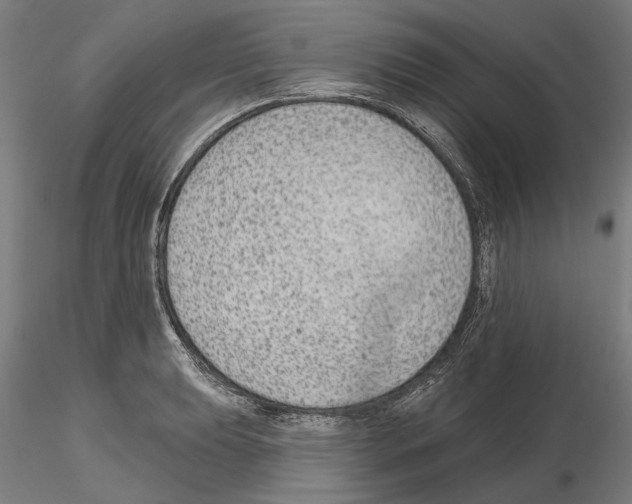 X0000114991039200912071112