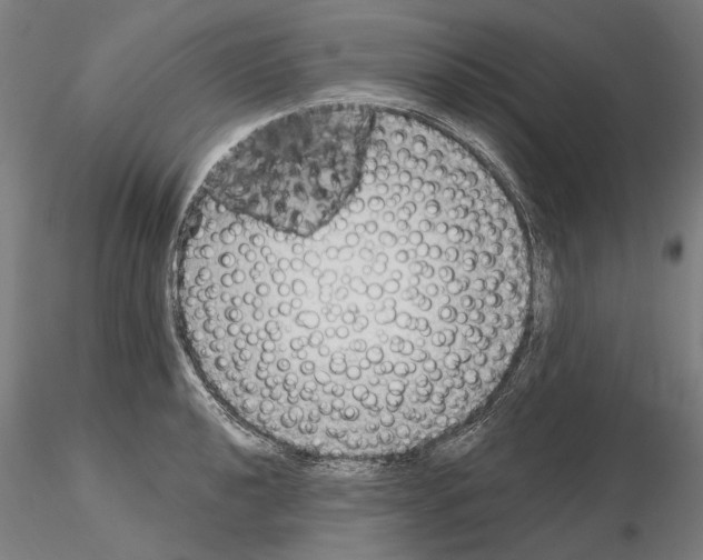 X0000114991040200912071112