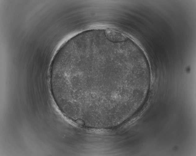 X0000114991045200912071112