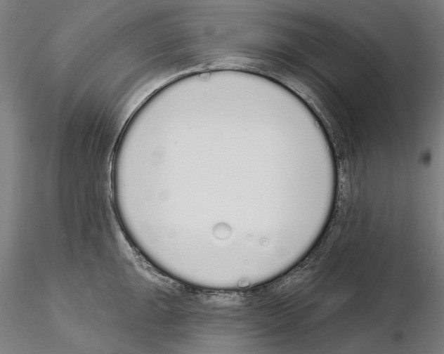 X0000114991047200912071112