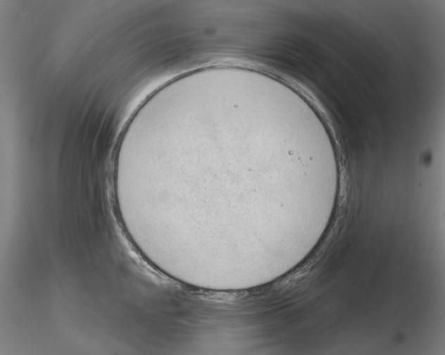 X0000114991048200912071112