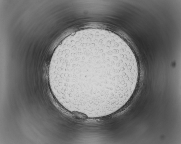 X0000114991049200912071112