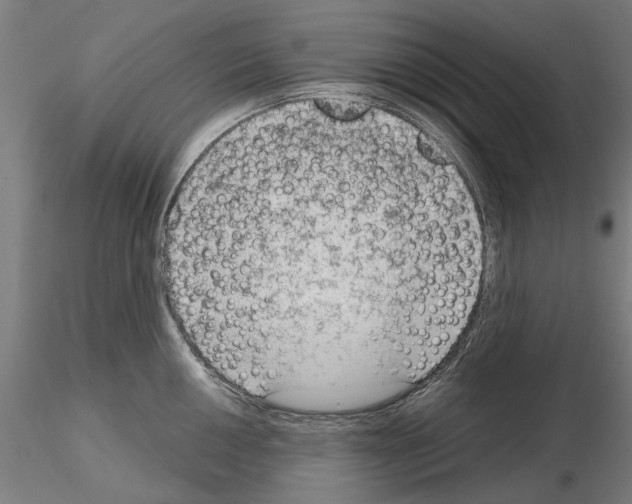 X0000114991050200912071112