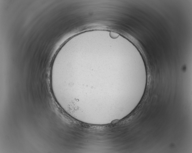 X0000114991051200912071112