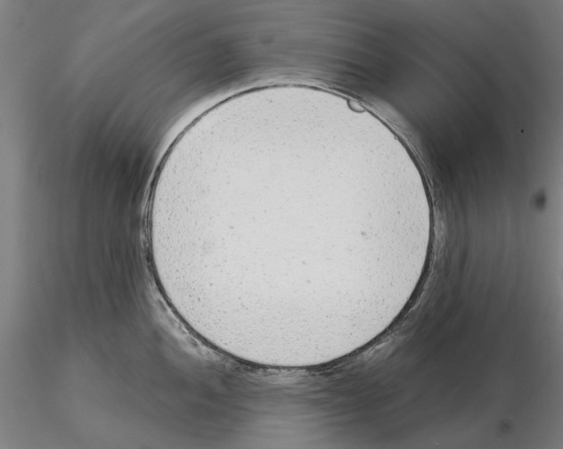 X0000114991052200912071112