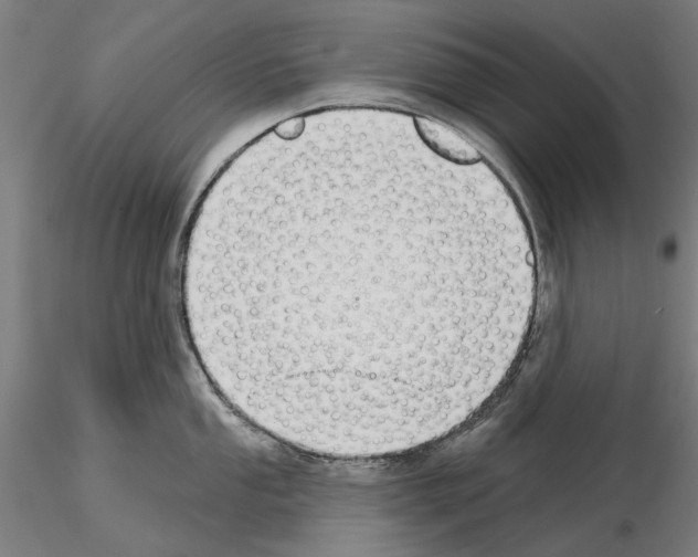 X0000114991053200912071112