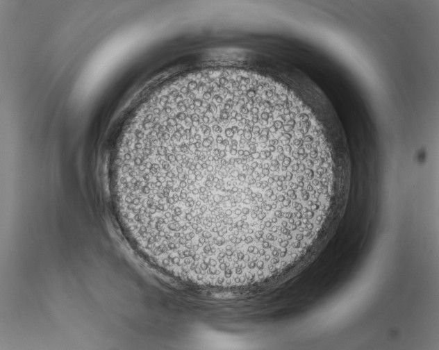 X0000114991054200912071112