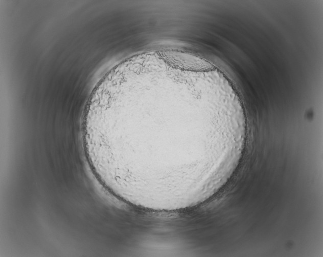 X0000114991055200912071113