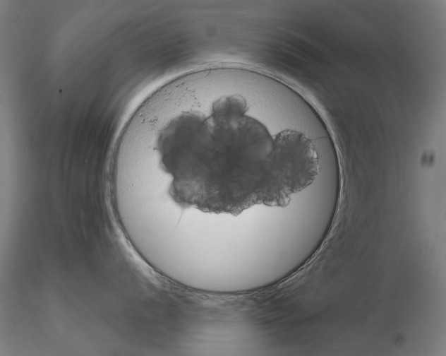 X0000114991056200912071113