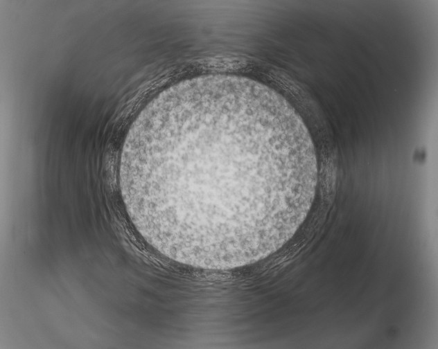 X0000114991058200912071112