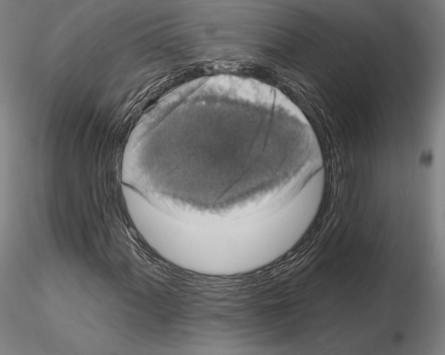 X0000114991060200912071112