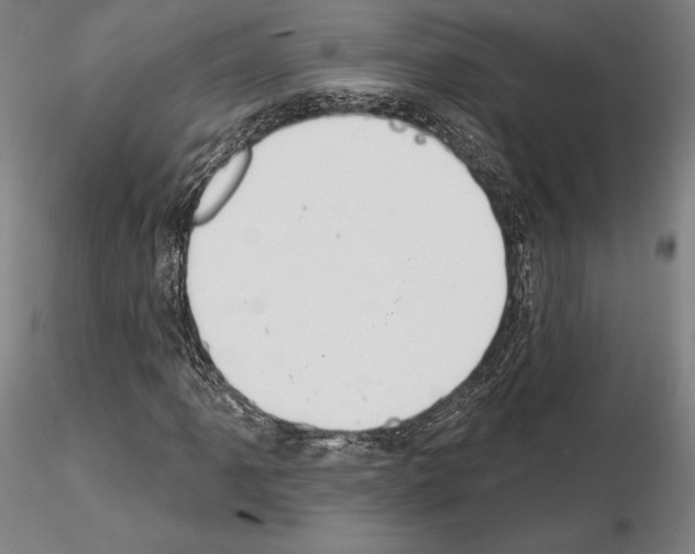 X0000114991061200912071112