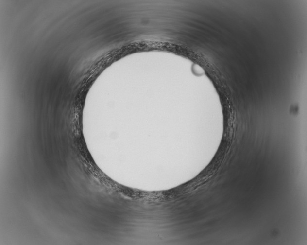 X0000114991062200912071112