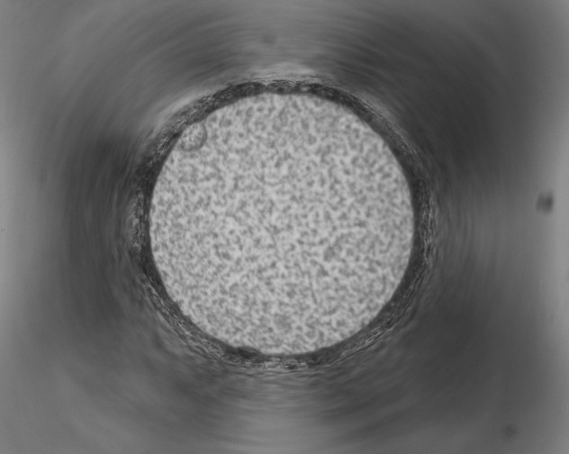 X0000114991063200912071112