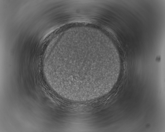 X0000114991064200912071112