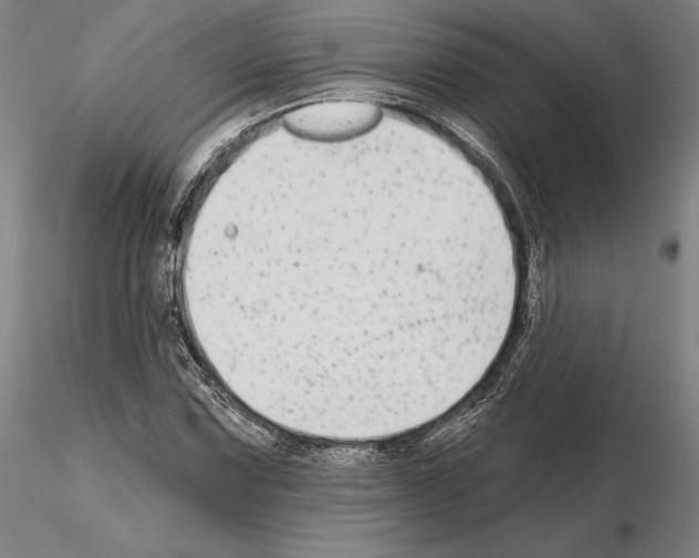 X0000114991067200912071112