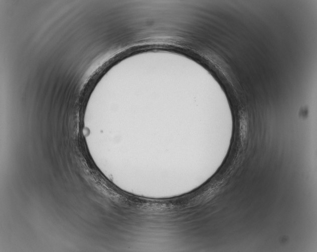 X0000114991069200912071112