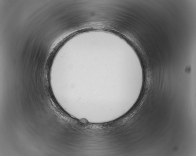 X0000114991070200912071112