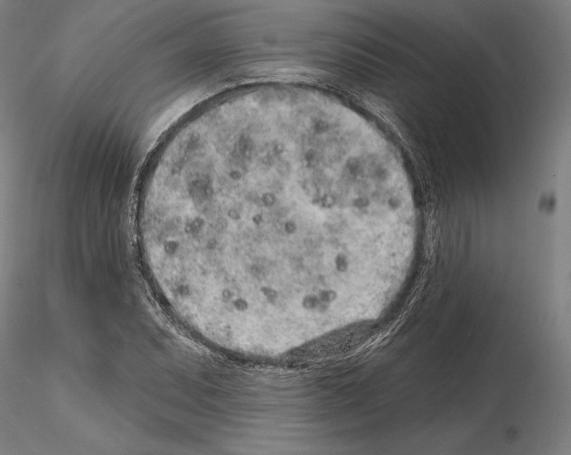 X0000114991071200912071112