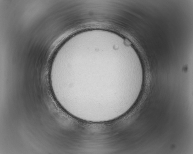 X0000114991074200912071112