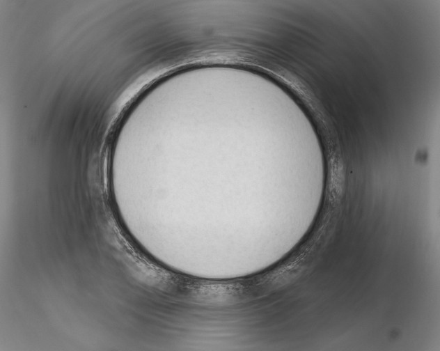 X0000114991078200912071112