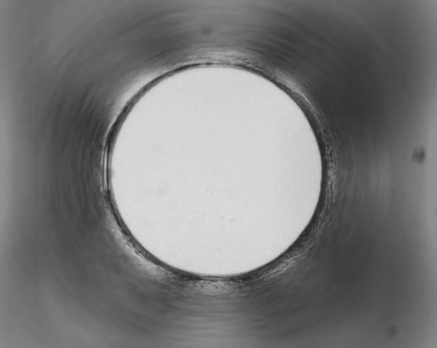 X0000114991079200912071112