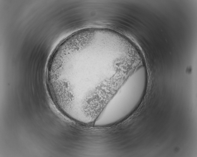 X0000114991080200912071112