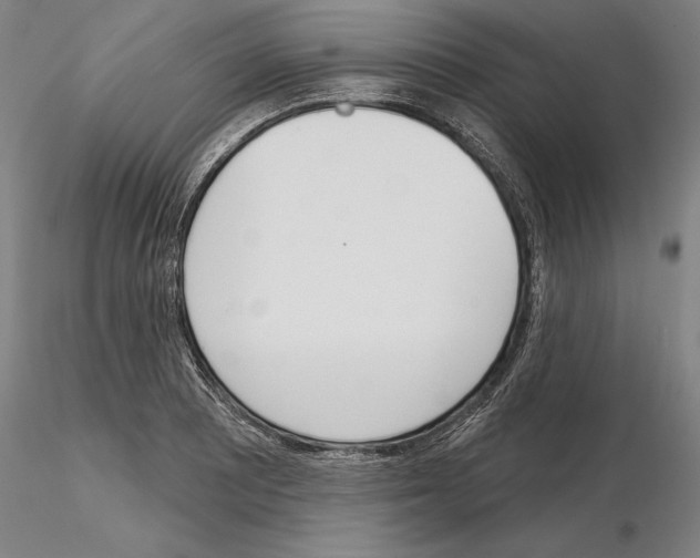 X0000114991081200912071112