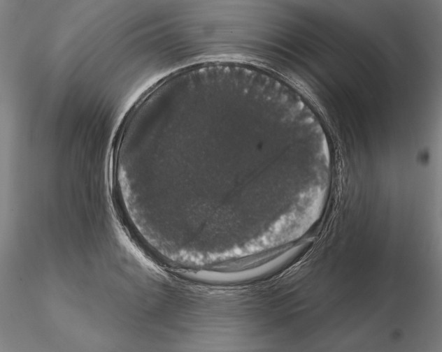 X0000114991084200912071111