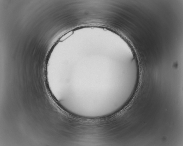 X0000114991085200912071111