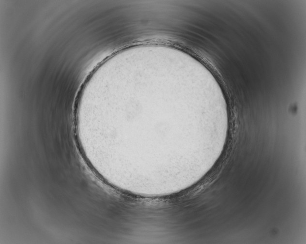 X0000114991087200912071111