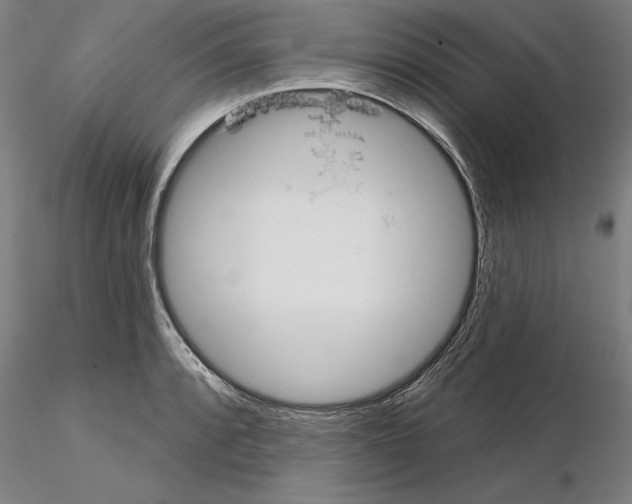 X0000114991088200912071111