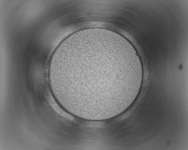 X0000114991090200912071111