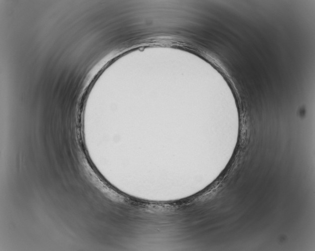 X0000114991091200912071111