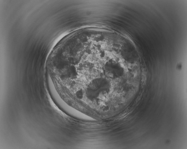 X0000114991095200912071111