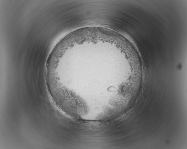 X0000114991096200912071111