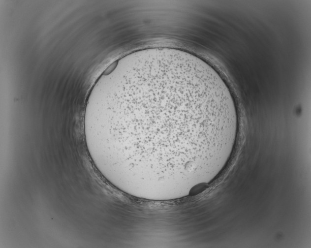 X0000114991097200912071111