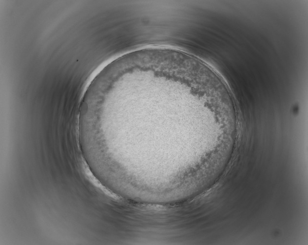 X0000114991100200912071111