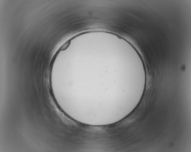 X0000114991101200912071111