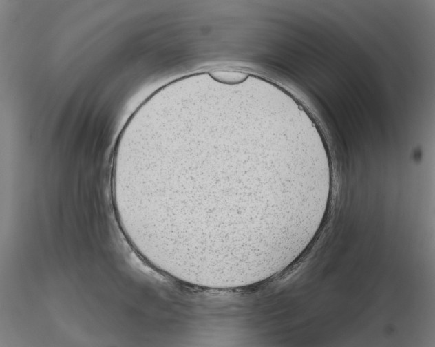 X0000114991102200912071111