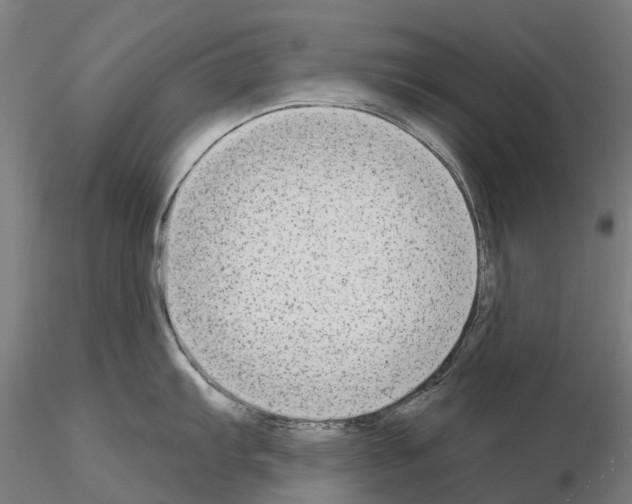 X0000114991103200912071111