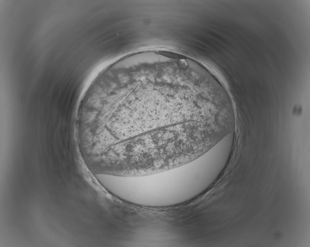 X0000114991104200912071111