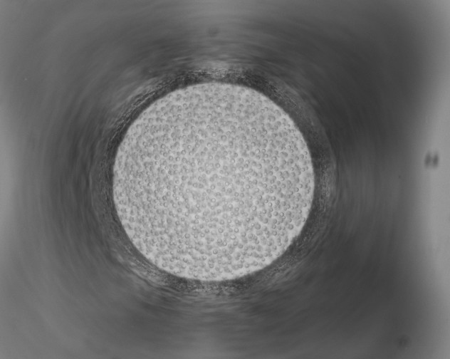 X0000114991105200912071111