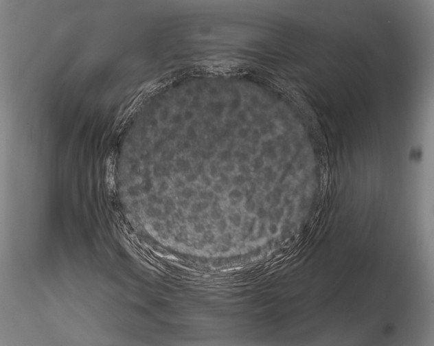 X0000114991106200912071111